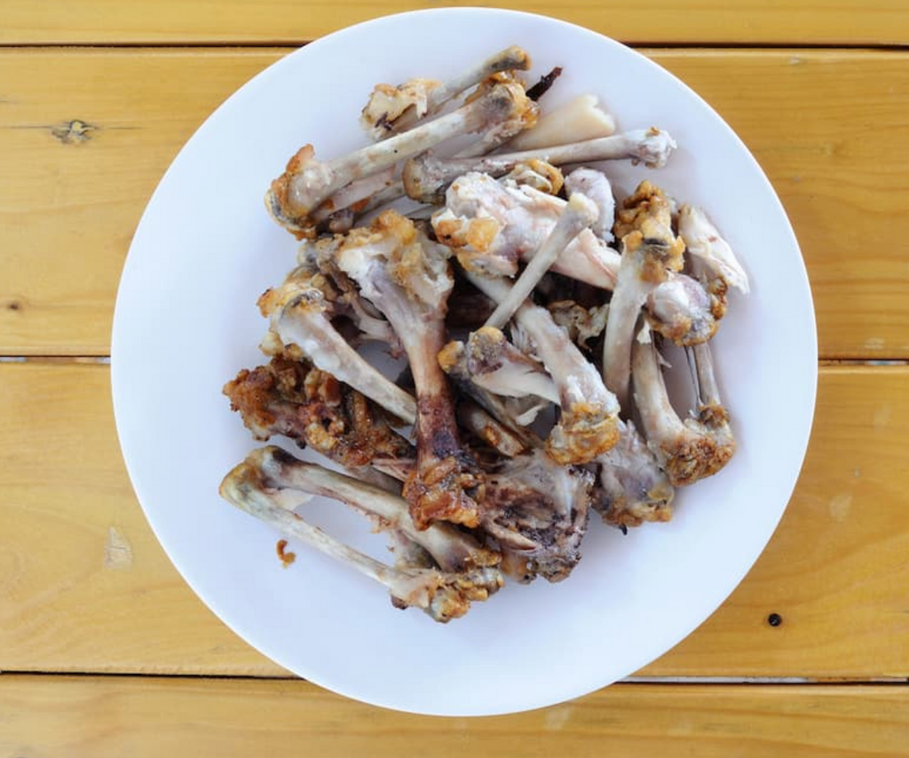 10 Foods You Should Never Feed Your Dog