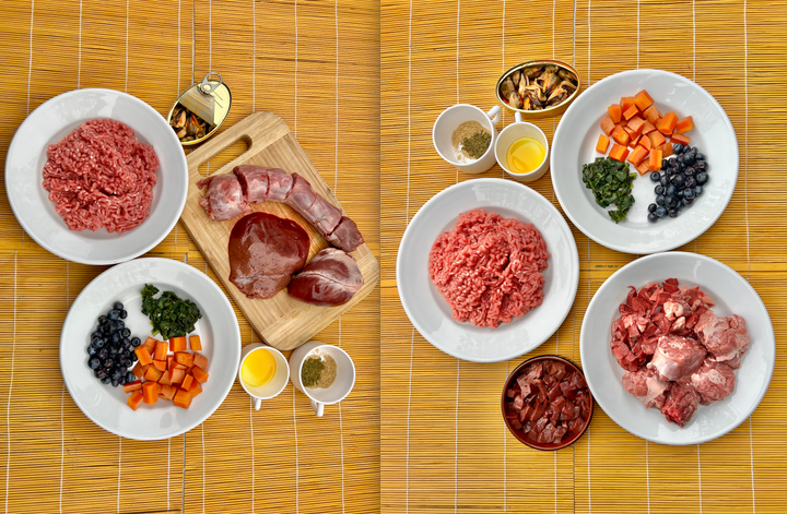 7 reasons you should consider feeding your dog a raw dog food diet