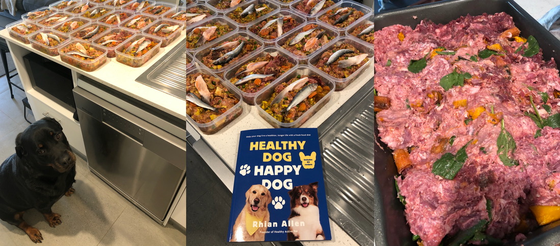 How Rottweiler owner saves money with a raw food diet