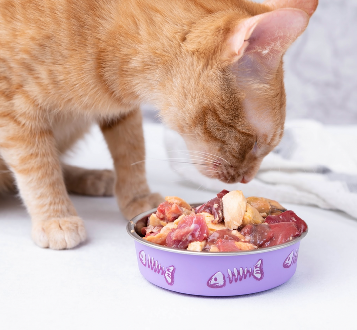 Tell Me About The 4 Week Cat Weight Management Program