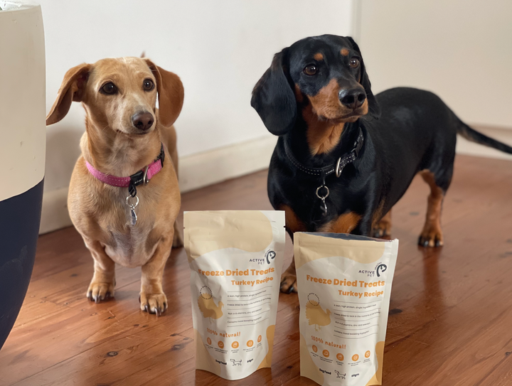 What Are The Reviews on Healthy Active Pet Treats?
