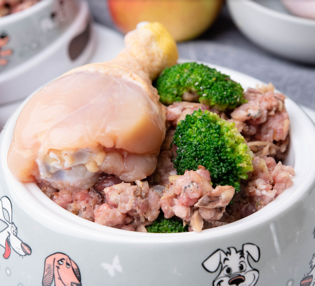 Raw Dog Food At Home Recipe - Chicken & Pork