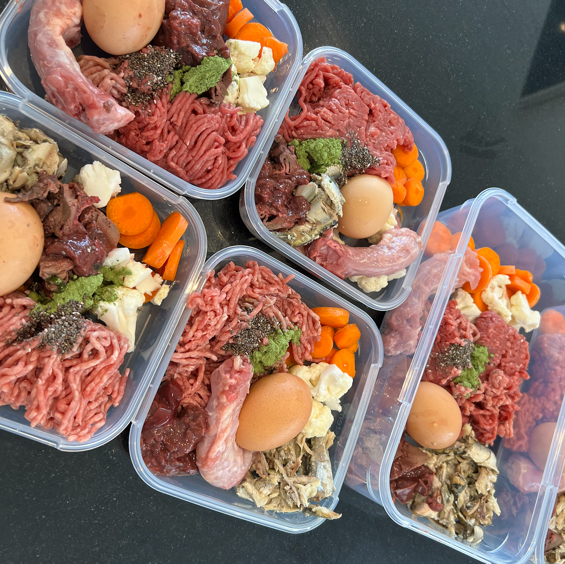 15 Tips To Raw Dog Food Feeding When You Are On A Budget