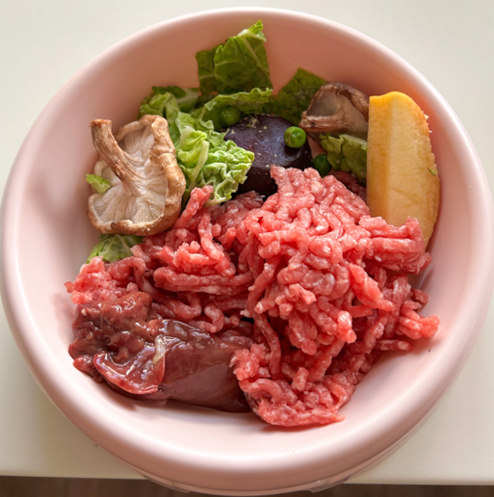 Homemade dog food