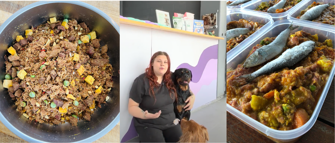 Vet nurse shares 7 tips for managing dog allergies