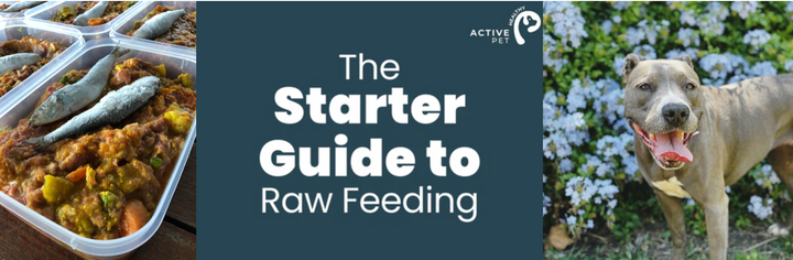 How to start feeding your dog raw