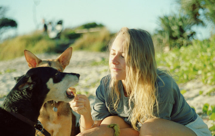 Healthy Active Pet Content and Formulations