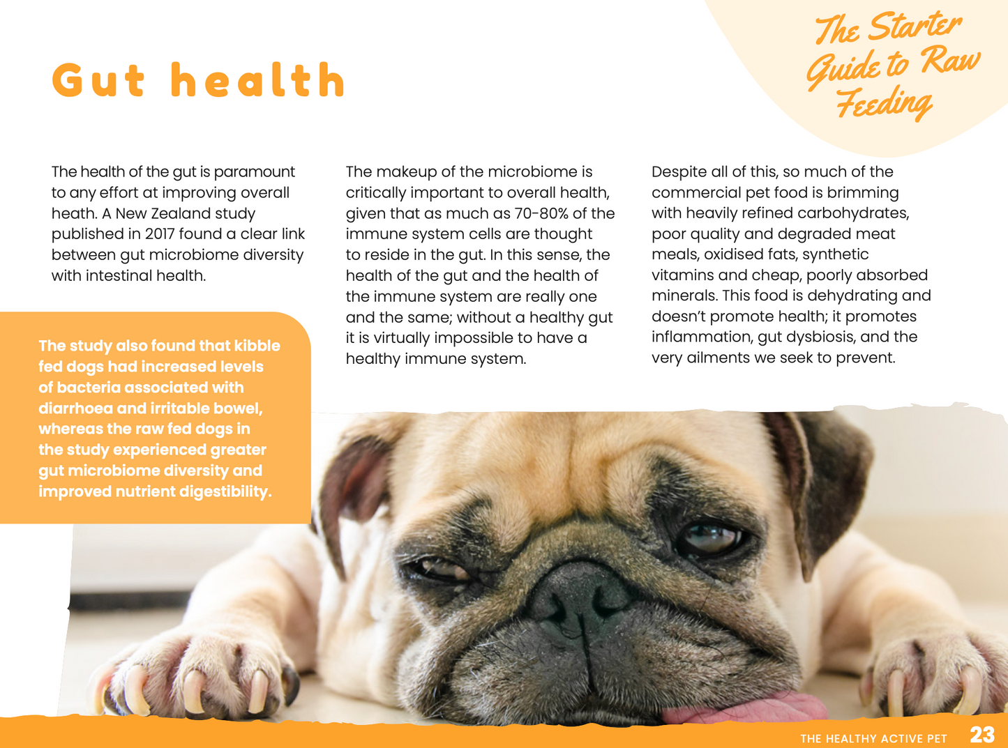 The Starter Guide To Raw Feeding Your Dog