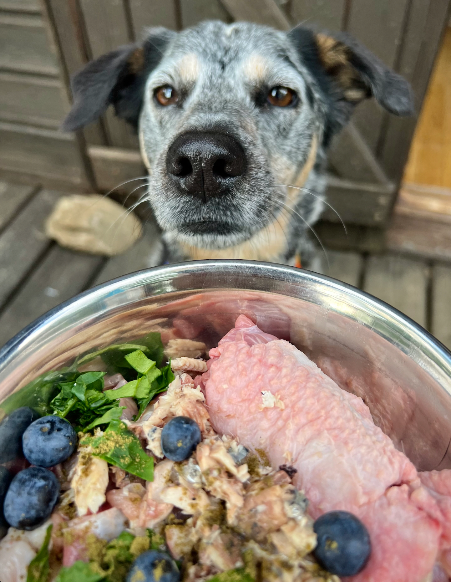 Monthly Recipe Membership