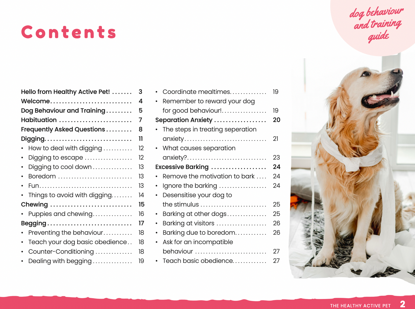 Dog Behaviour & Training Guide