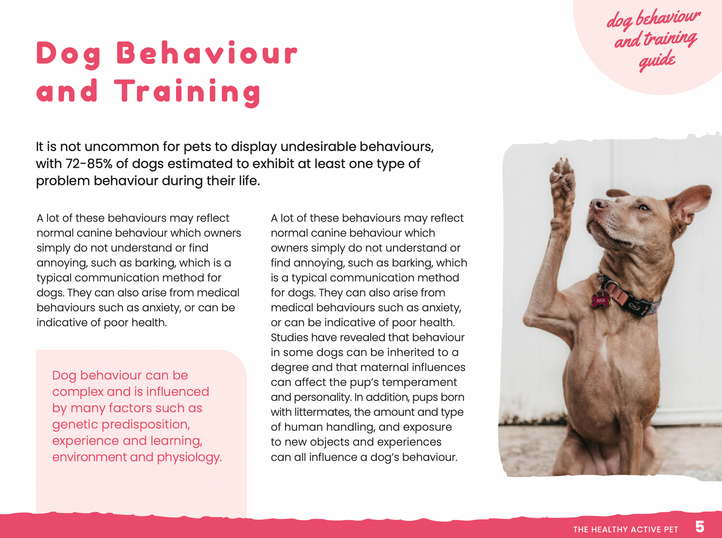 Dog Behaviour & Training Guide