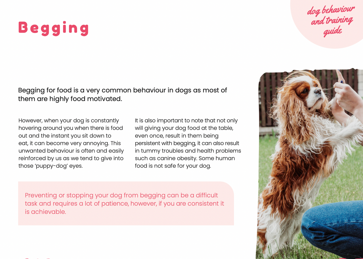 Dog Behaviour & Training Guide