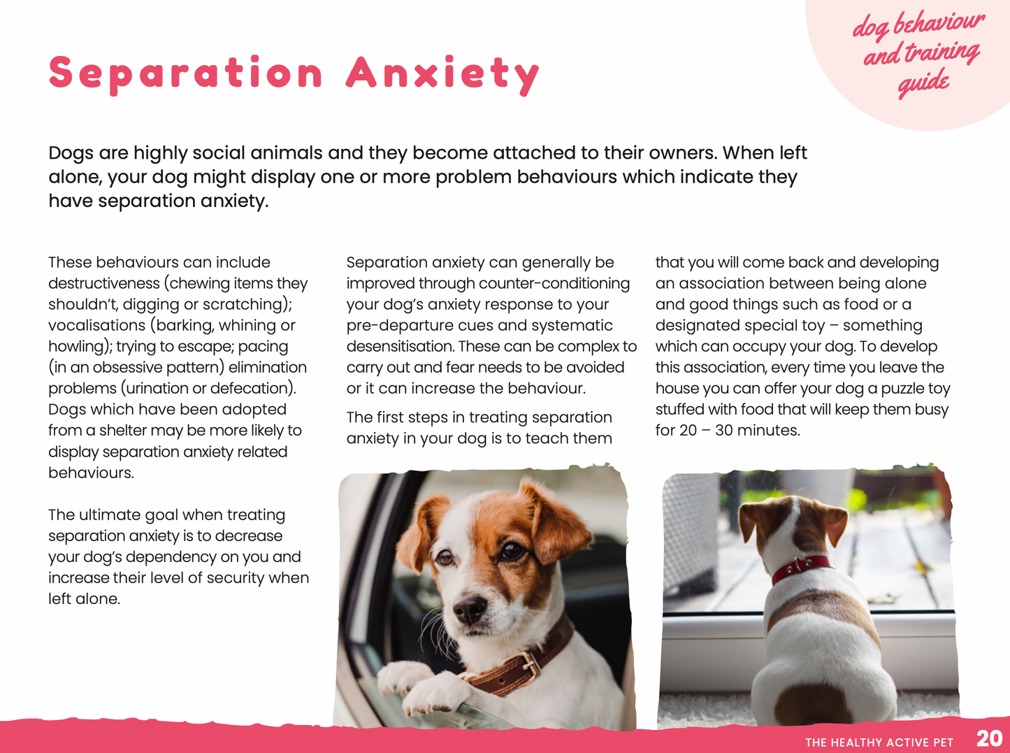 Dog Behaviour & Training Guide