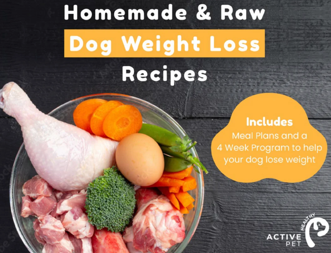 Dog Raw Feeding Recipe Book Bundle VALUE Pack