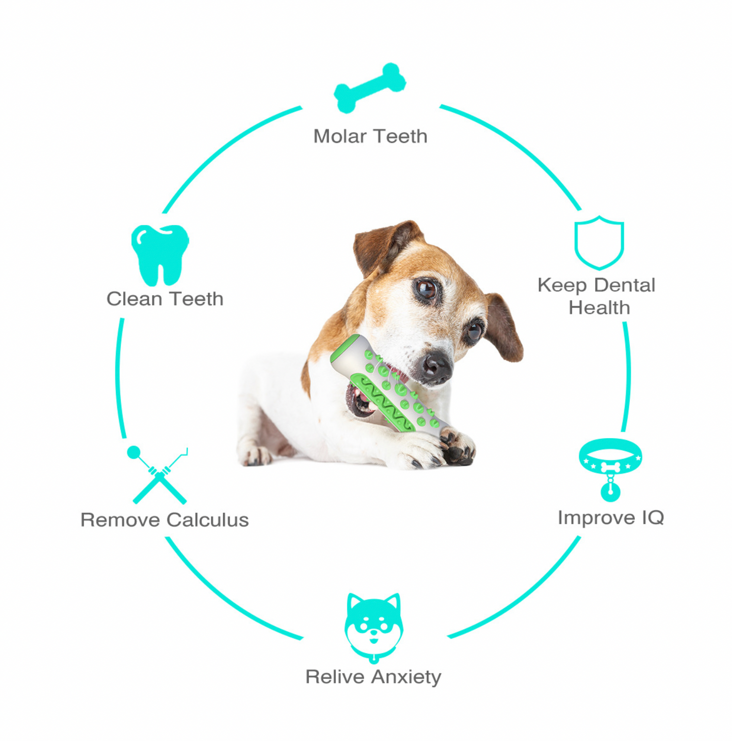 Dog Toothbrush Chew Bone Toy