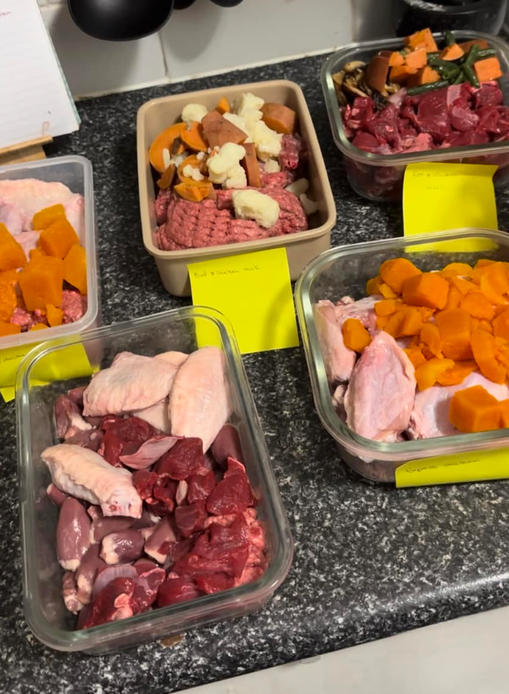 Budget Raw Feeding For Dogs Recipe eBook