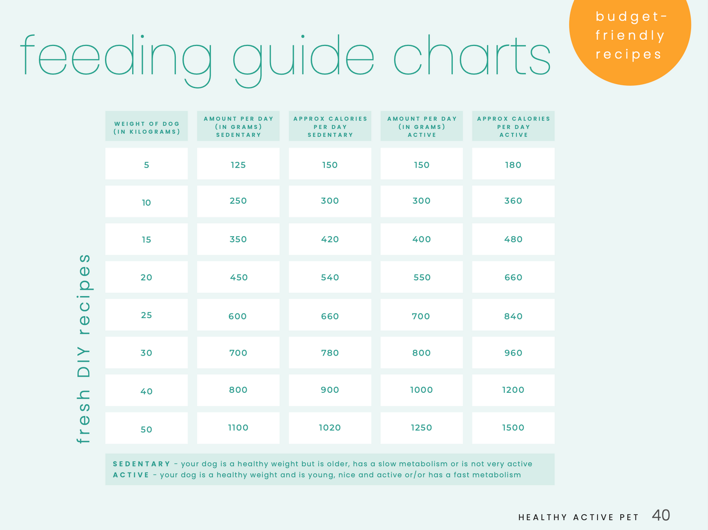 Budget Raw Feeding For Dogs Recipe eBook