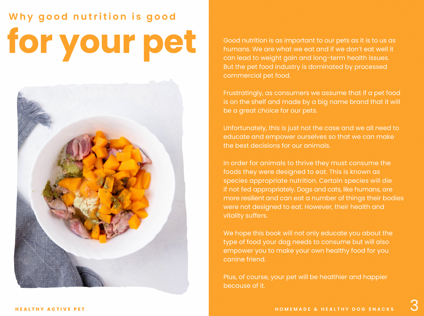 Home Made Dog Treats Recipe eBook