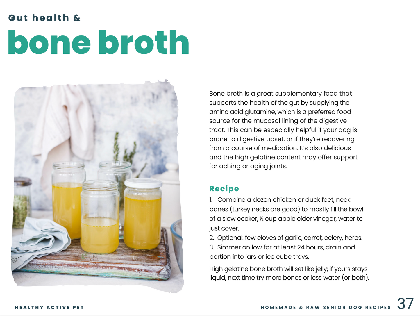 Homemade Dog Food For Senior Dogs Recipe eBook