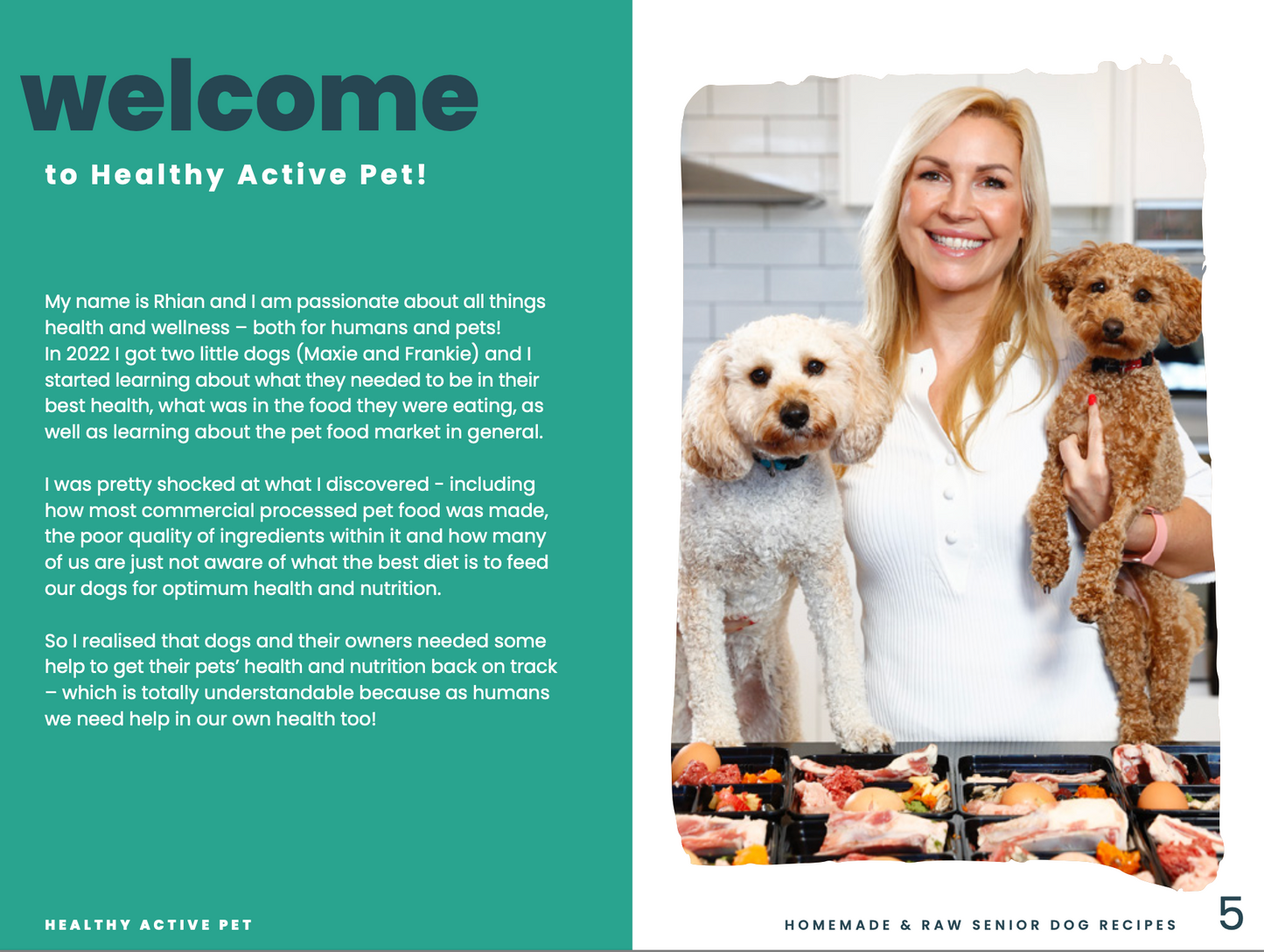 Homemade Dog Food For Senior Dogs Recipe eBook