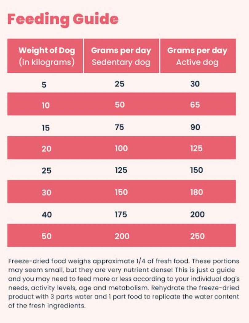 Freeze Dried Complete Raw Dog Food & Treats