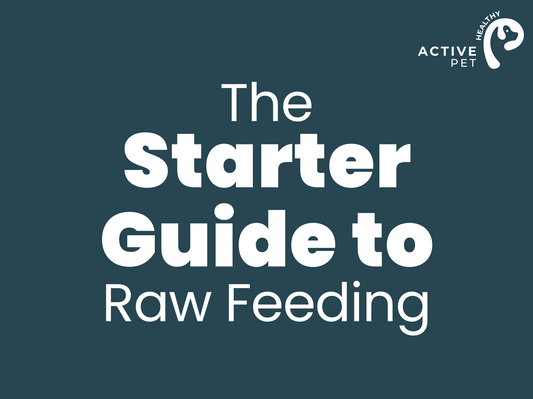The Starter Guide To Raw Feeding Your Dog