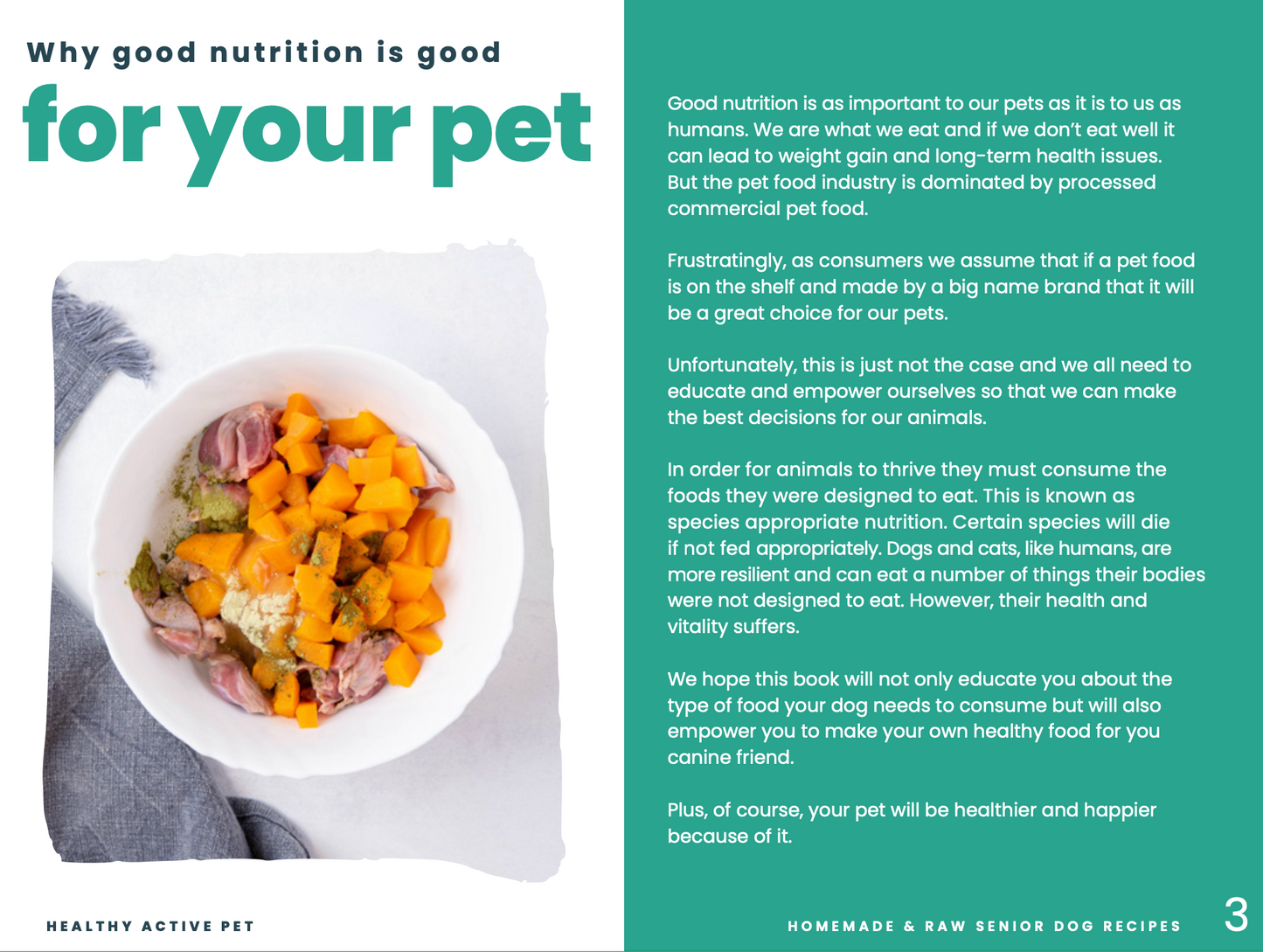 Homemade Dog Food For Senior Dogs Recipe eBook