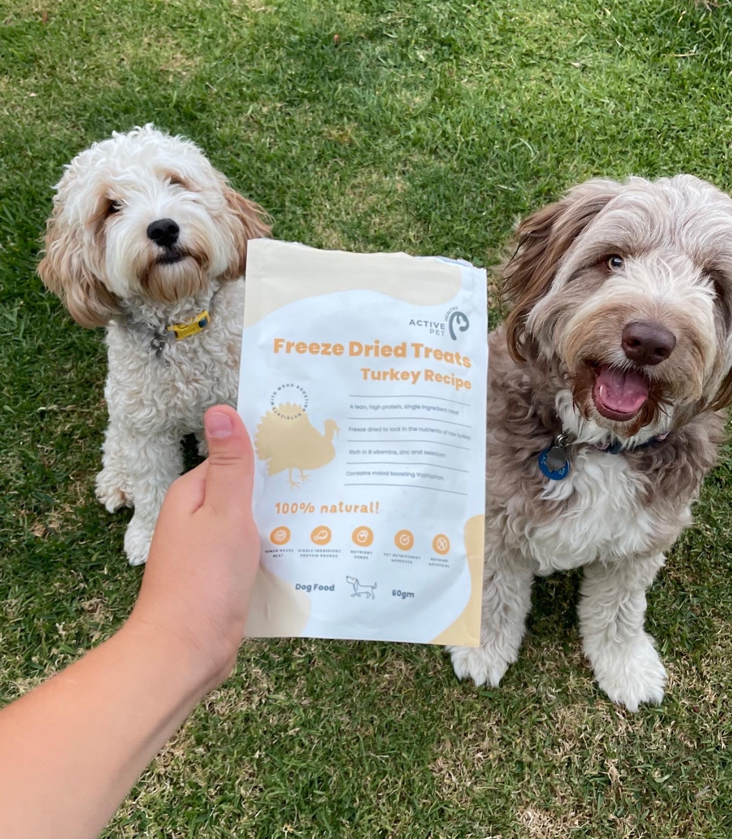 Freeze Dried Raw Turkey Treats & Complete Turkey & Sardine Meal Double Pack