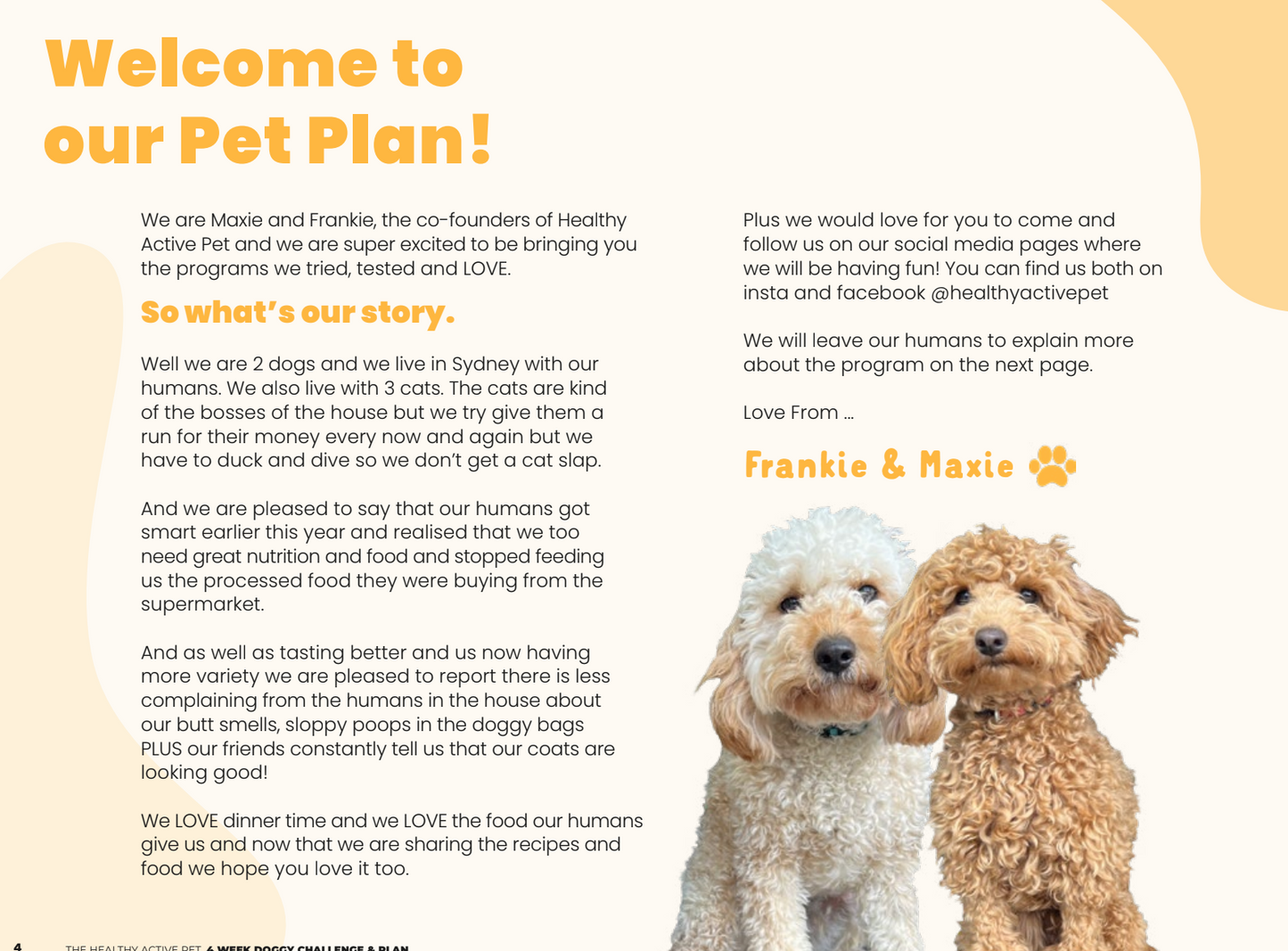 Homemade Dog Weight Loss Recipe eBook & Plan