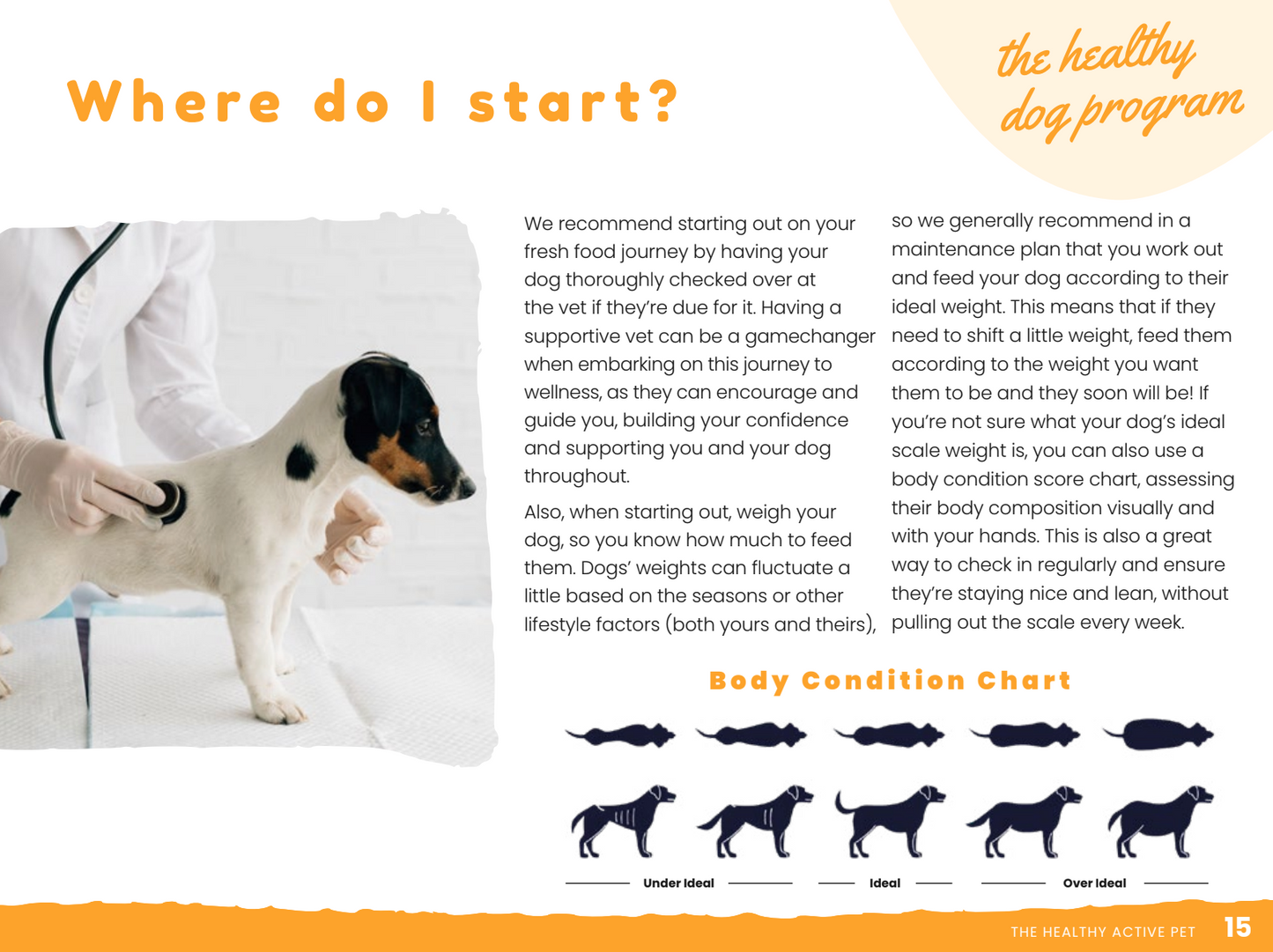 Quarterly Recipe & Healthy Active Pet Membership