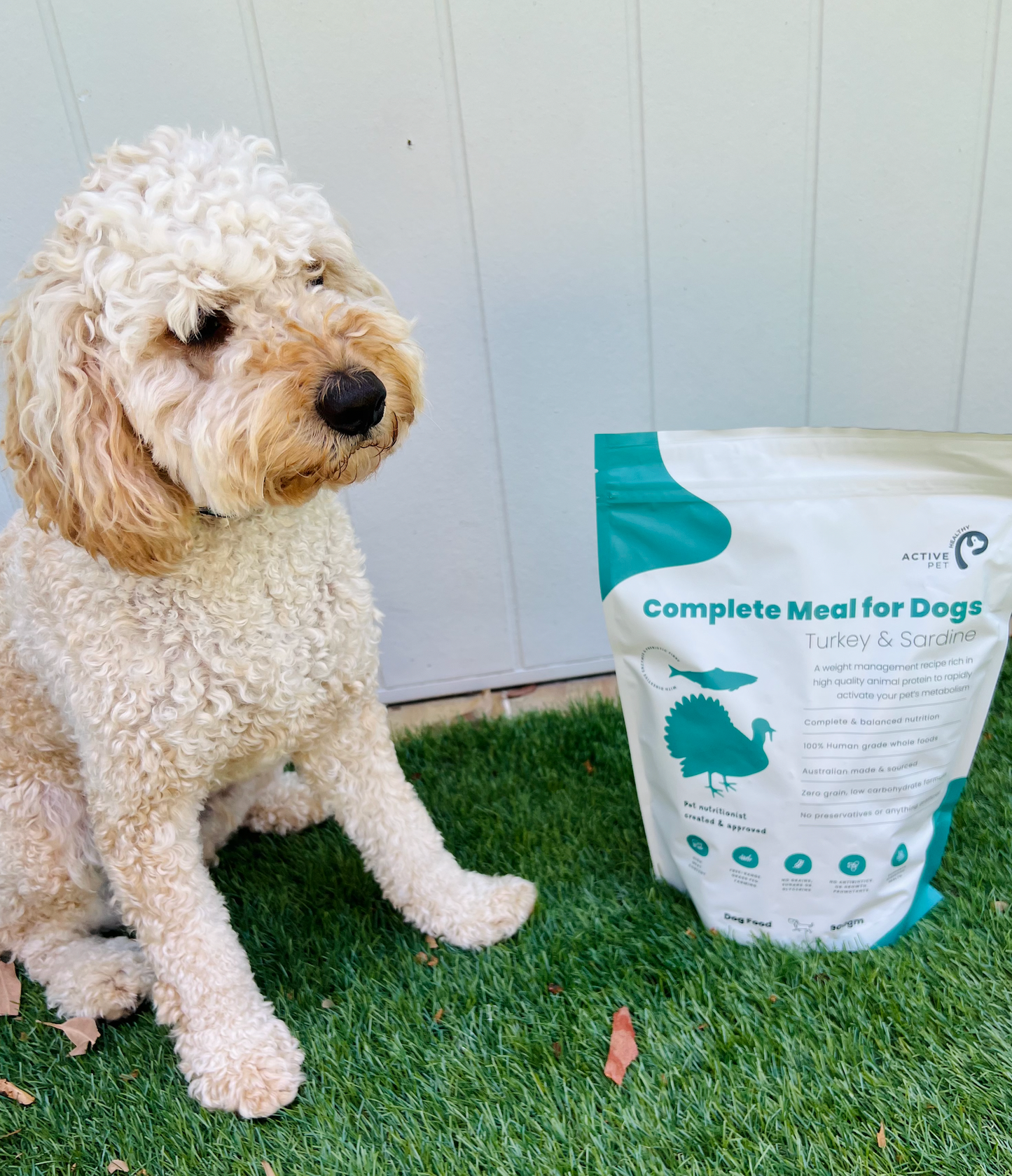 Dog Health & Nutrition Starter Pack