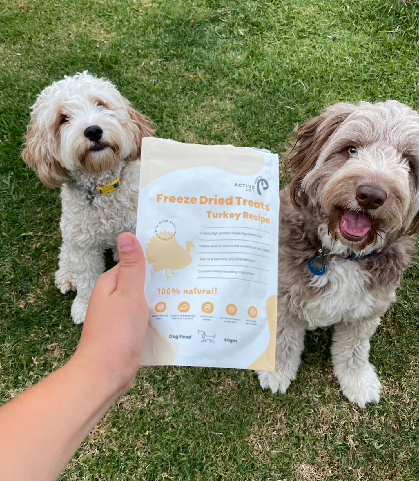 Freeze Dried Raw Turkey Treats Pack of 3