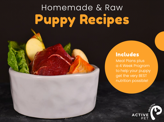 Homemade Puppy Food Recipe eBook