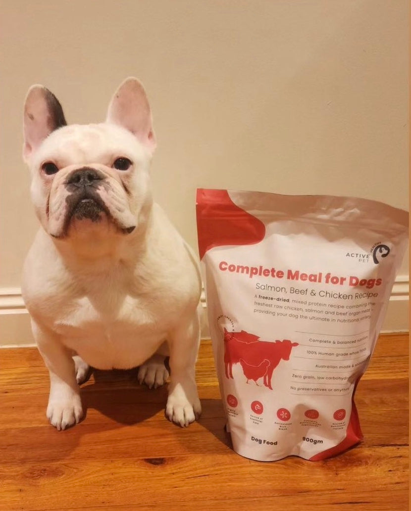 Premium Freeze Dried Dog Food