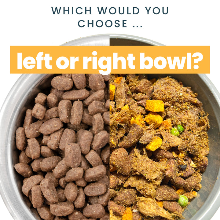 What you need to know about dog food brands