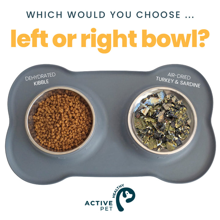 How to find the best dry dog food