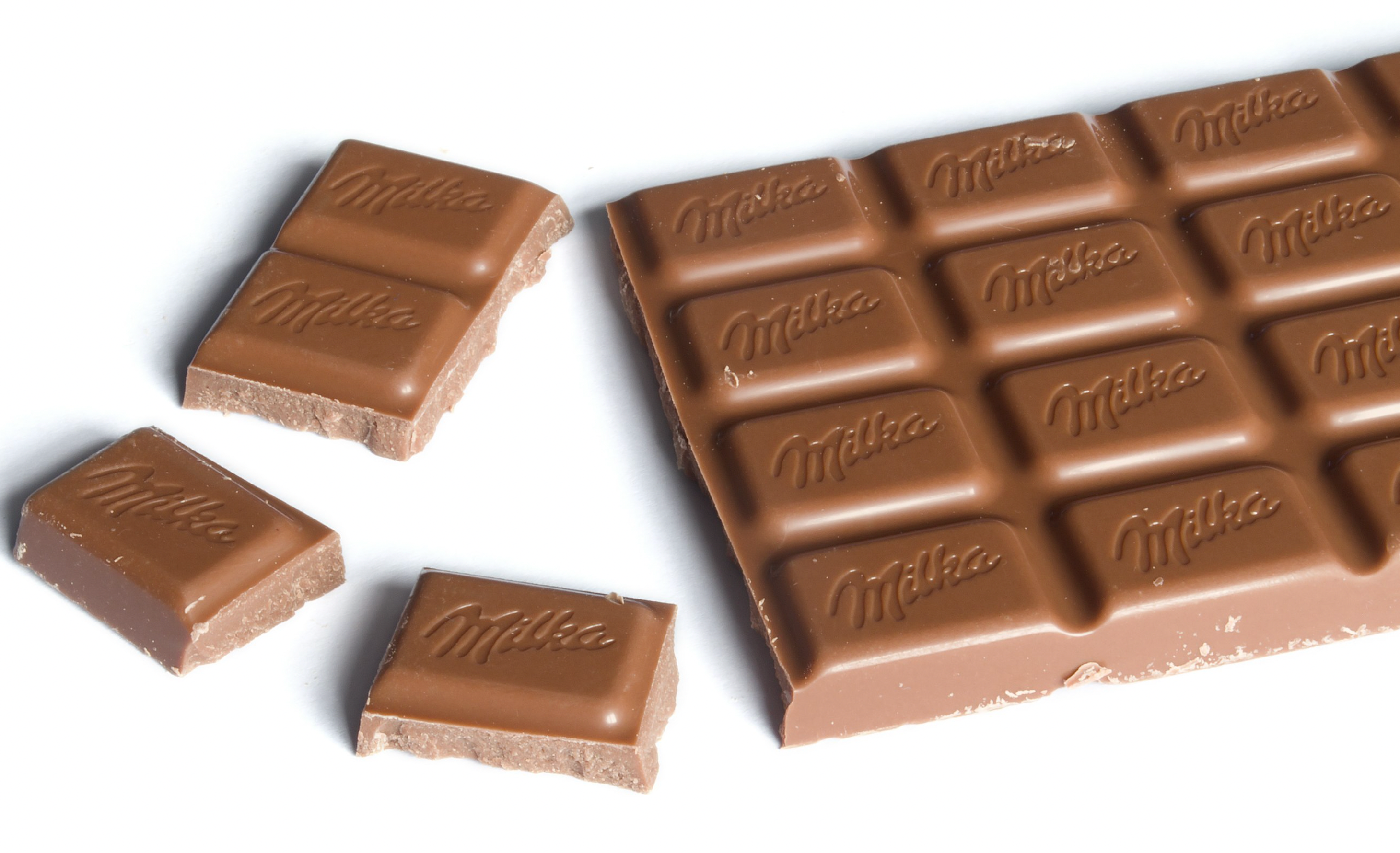 7 Foods You Should Never Feed Your Cat Healthy Active Pet