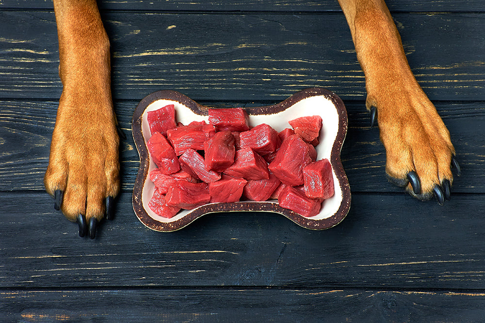 What foods can dogs not cheap have