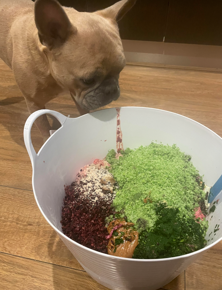 Wheatgrass in a raw dog food diet