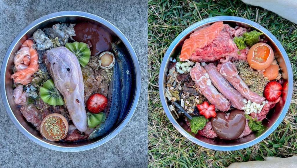 Dog owners share their raw dog food dinners to inspire you