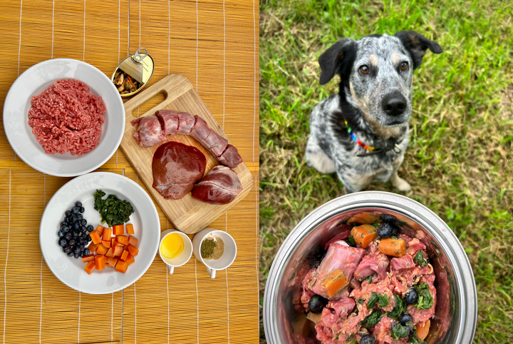 Raw dog food recipe - turkey and lamb