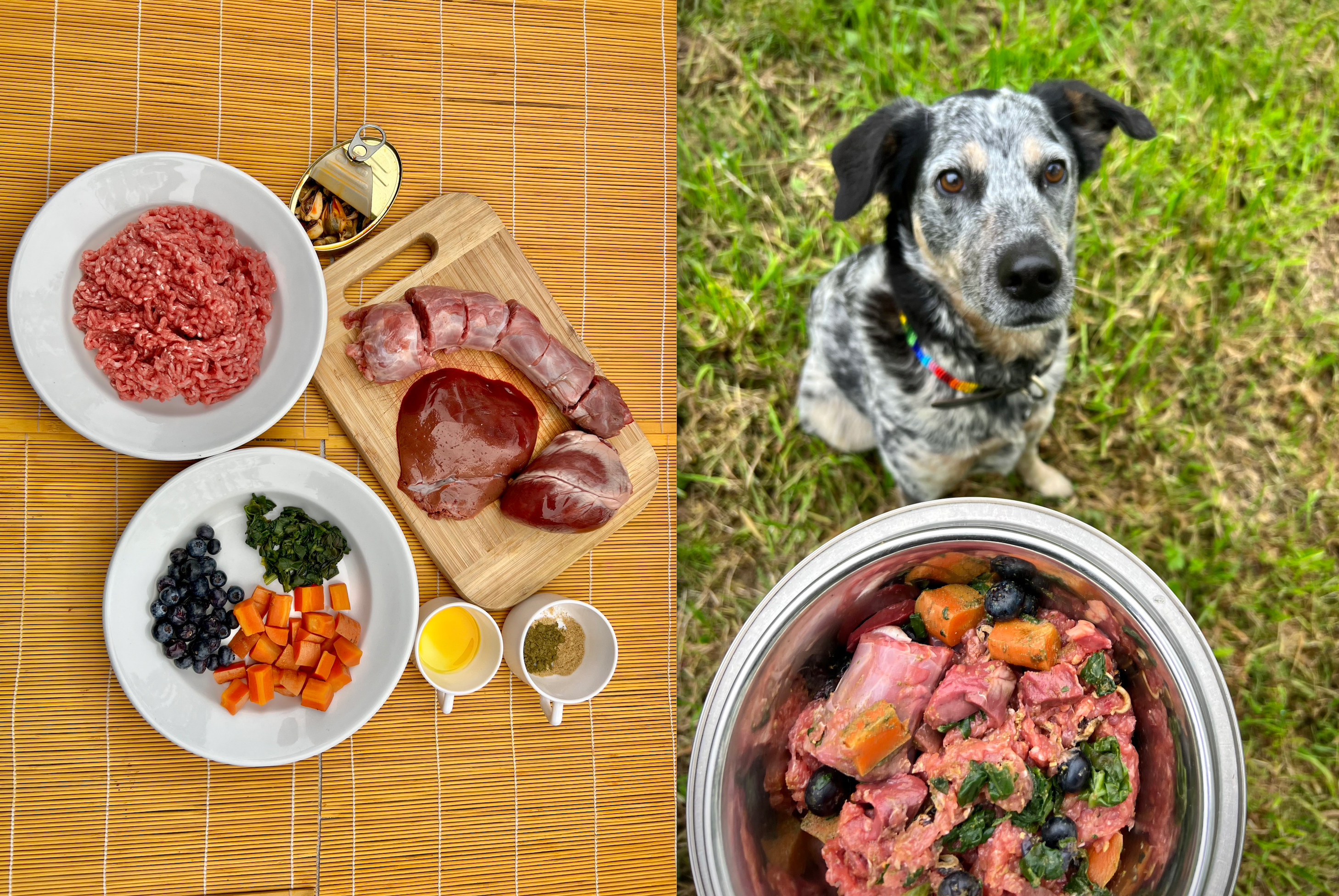 Why Feeding Your Dog a Raw Food Diet Can Be Good for the