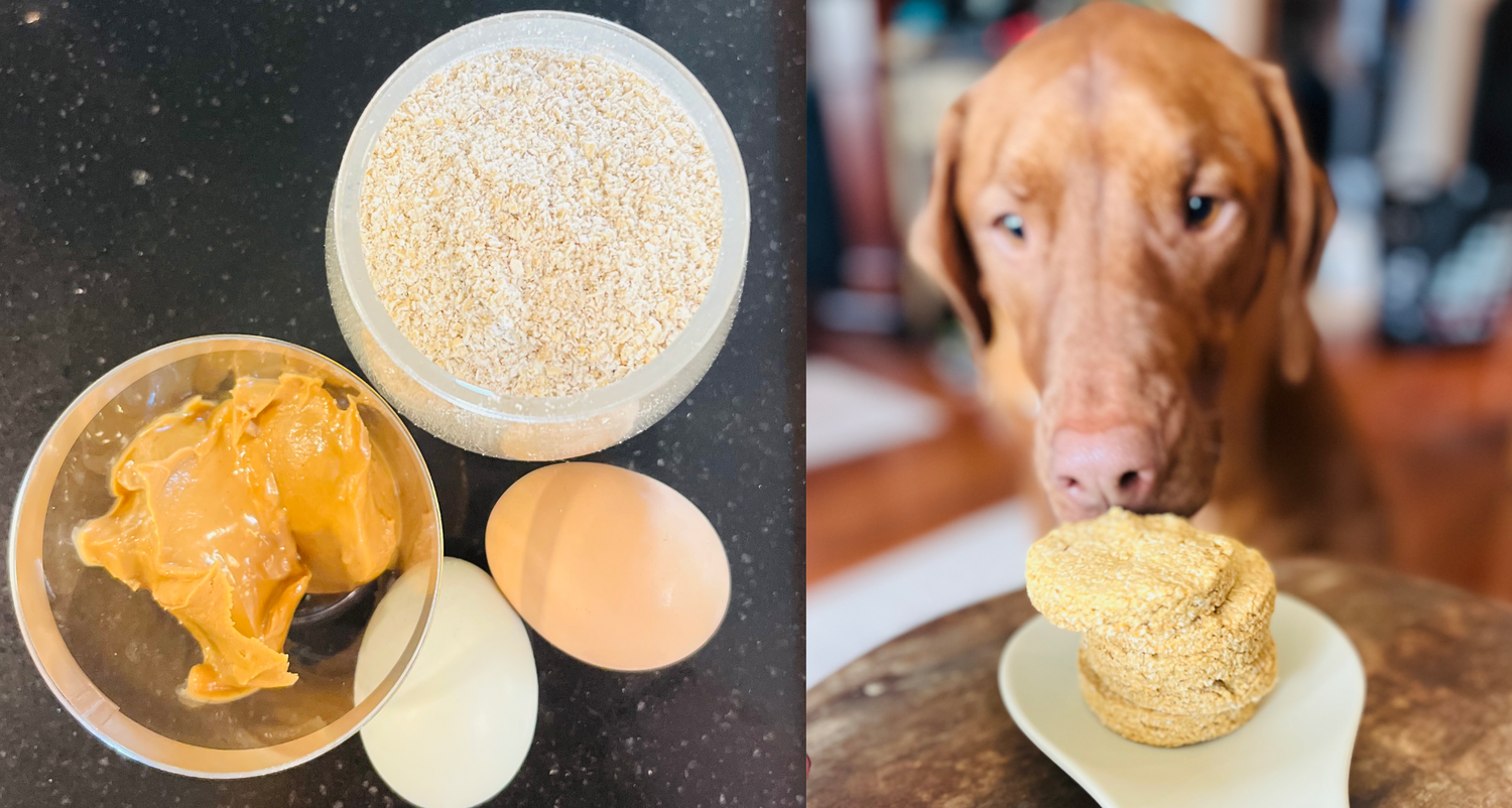 Easy dog food snack recipe Healthy Active Pet