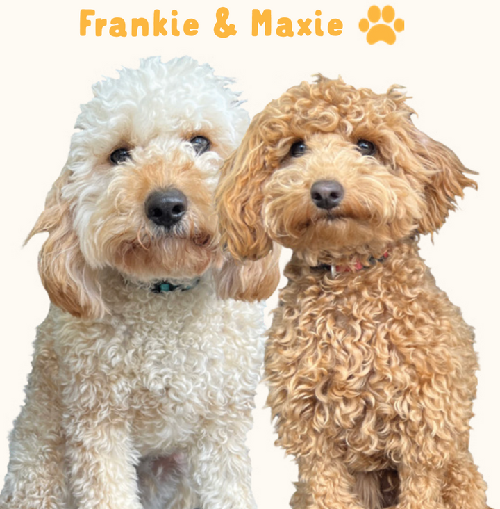 Meet Maxie and Frankie