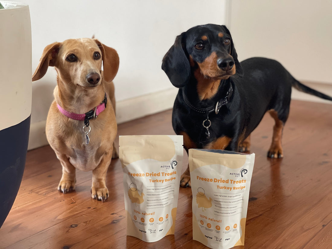 Freeze Dried Turkey Treats 100% Human Grade Protein