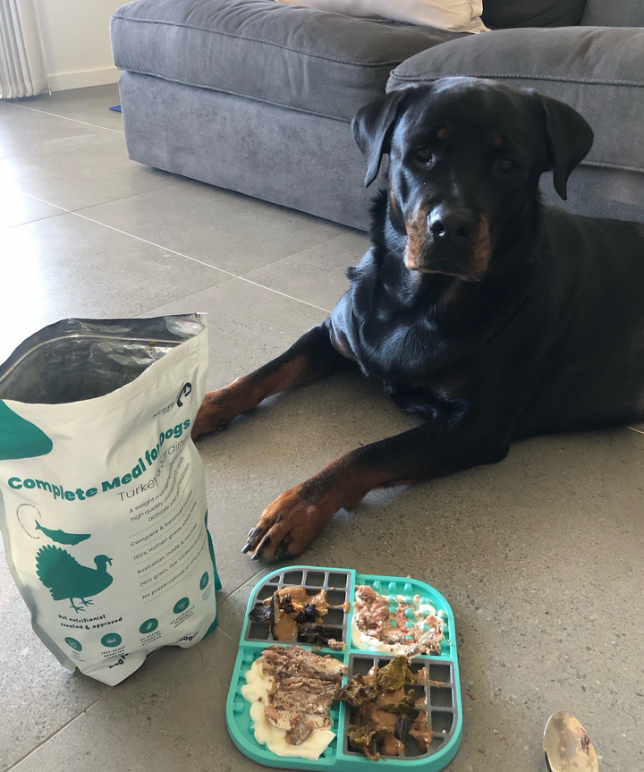 Enrichment Raw Dog Food