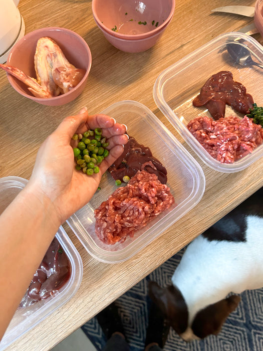 7 reasons dog owners like a raw food diet