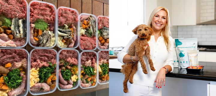 4 Reasons Why A Raw Food Diet Is The Best Dog Food