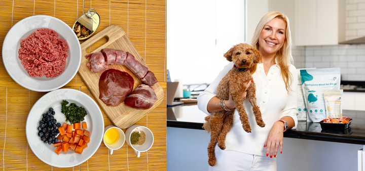 The Healthy Active Pet Raw Dog Food Recipe Story