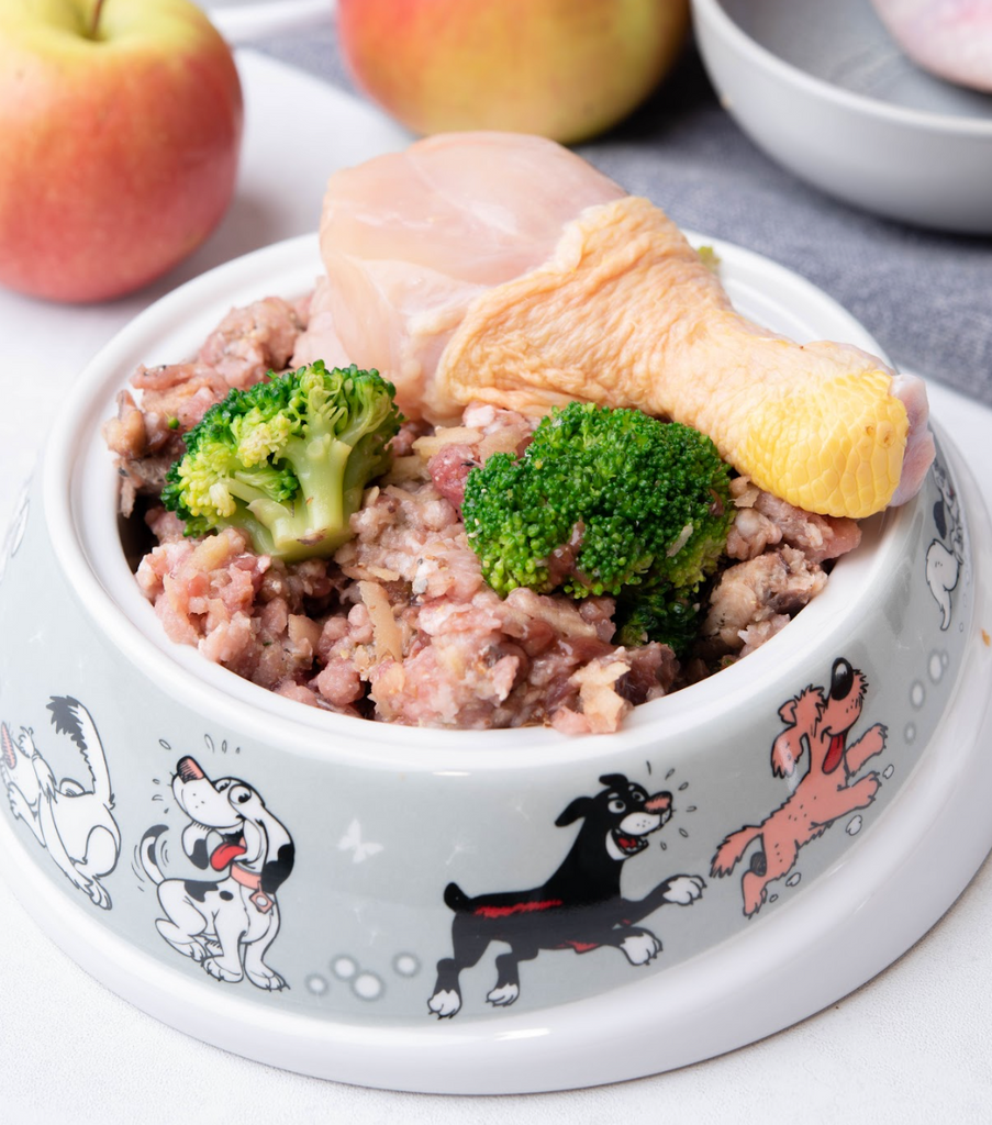 Chicken and Pork Healthy Dog Food Recipe